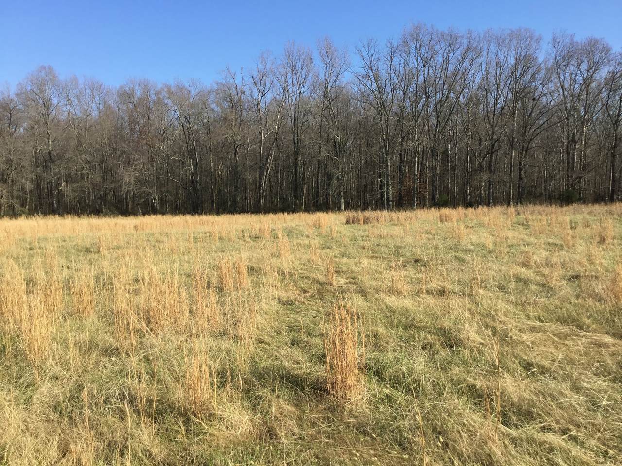0 C. Anderson Rd. - Photo 1