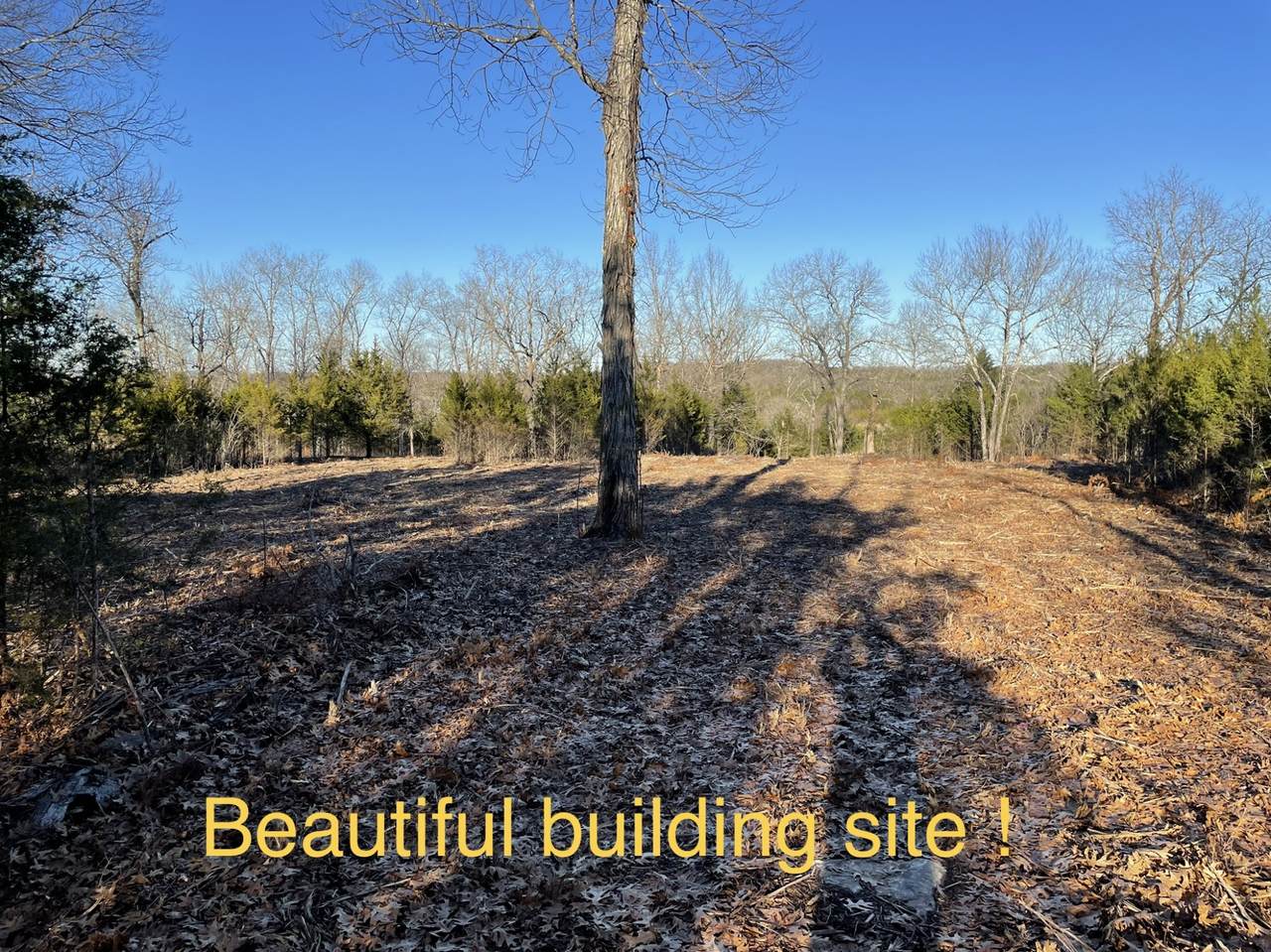 2120 Paradise Dr - Photo 1