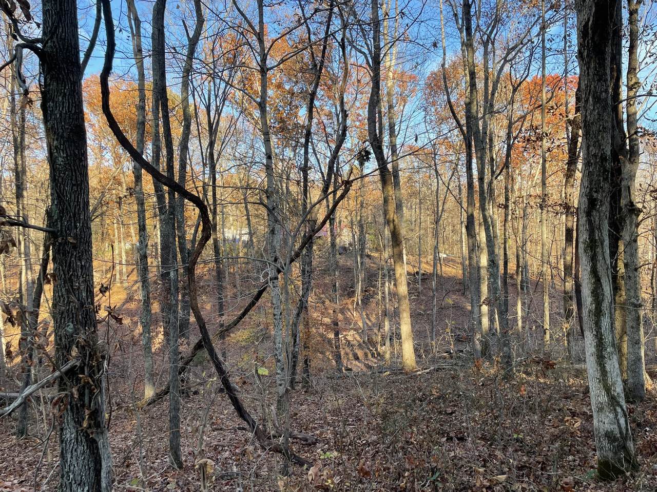0 Oak Hill Road - Photo 1