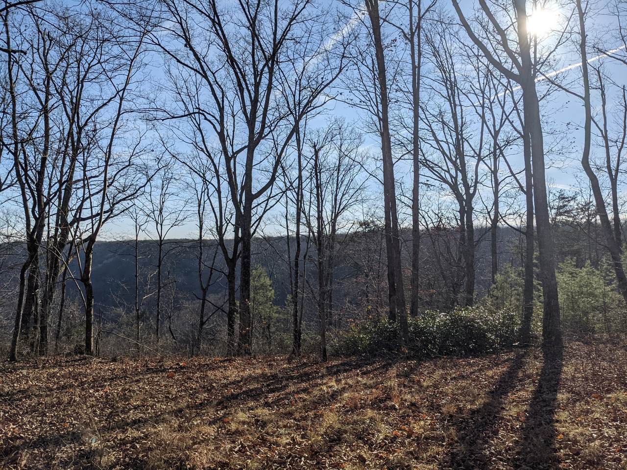 15 Old Falls Trail - Photo 1