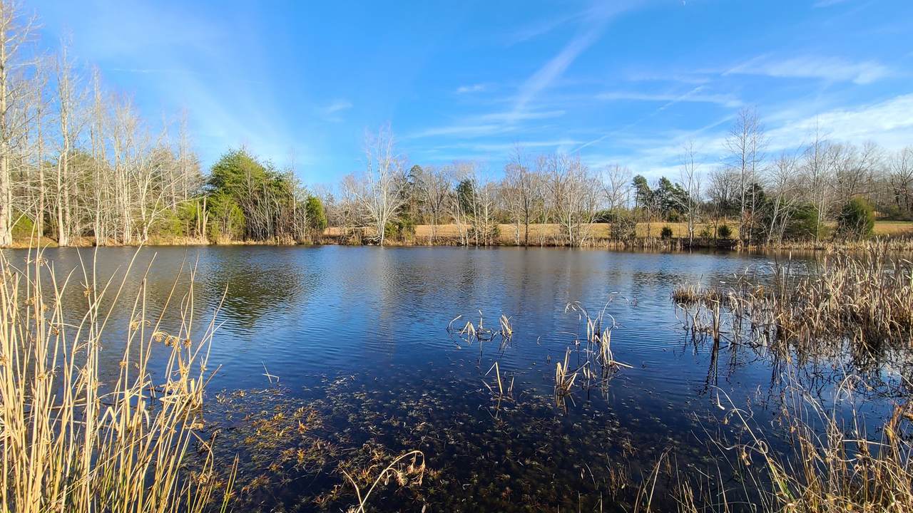 912 Allen Bend Rd - Photo 1