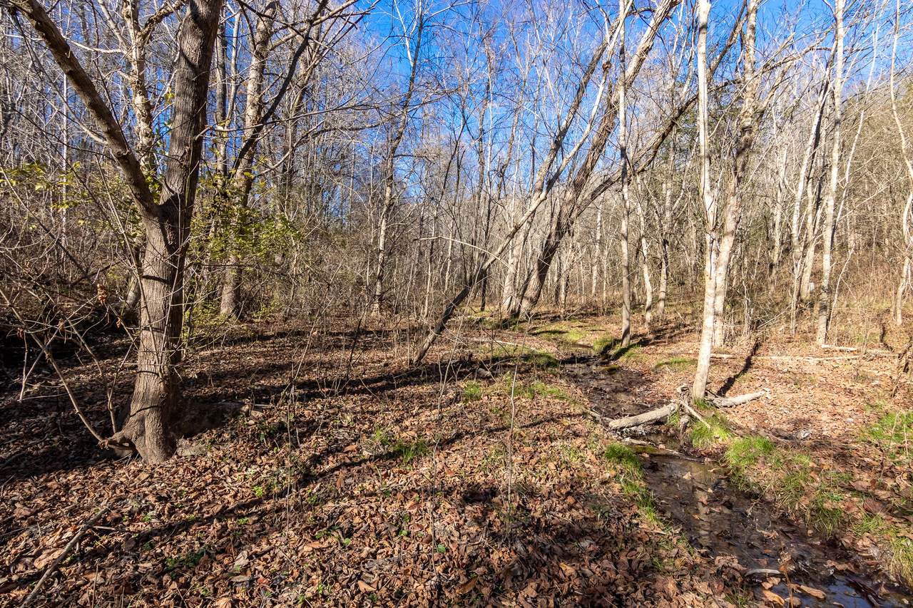 0 Sycamore - Photo 1