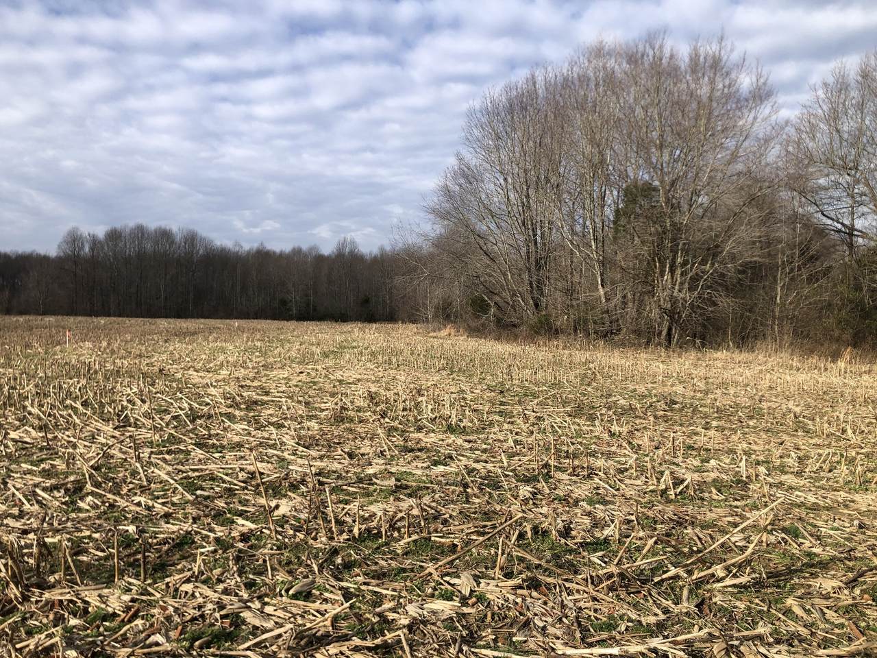 903 Mount Vernon Rd - Photo 1