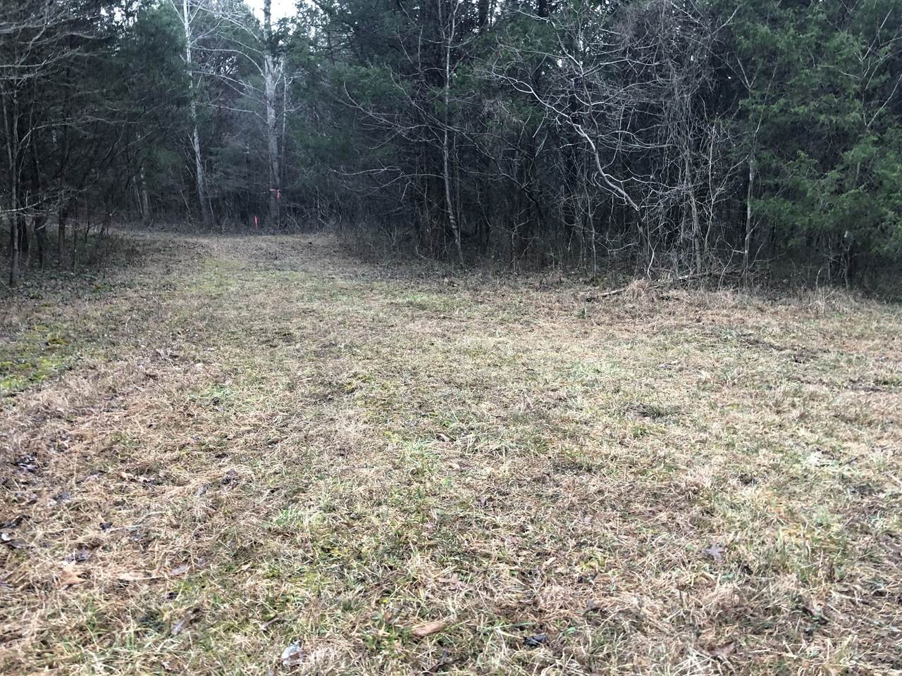 0 Shelter Branch Rd Tract 5 - Photo 1