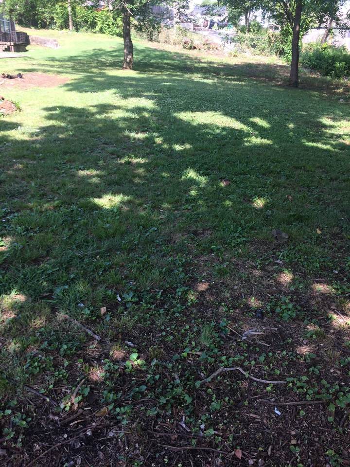 2147 18th Ave - Photo 1
