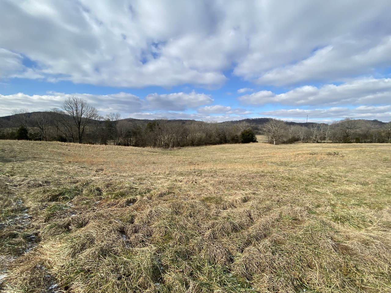 0 Hwy 231 - Photo 1