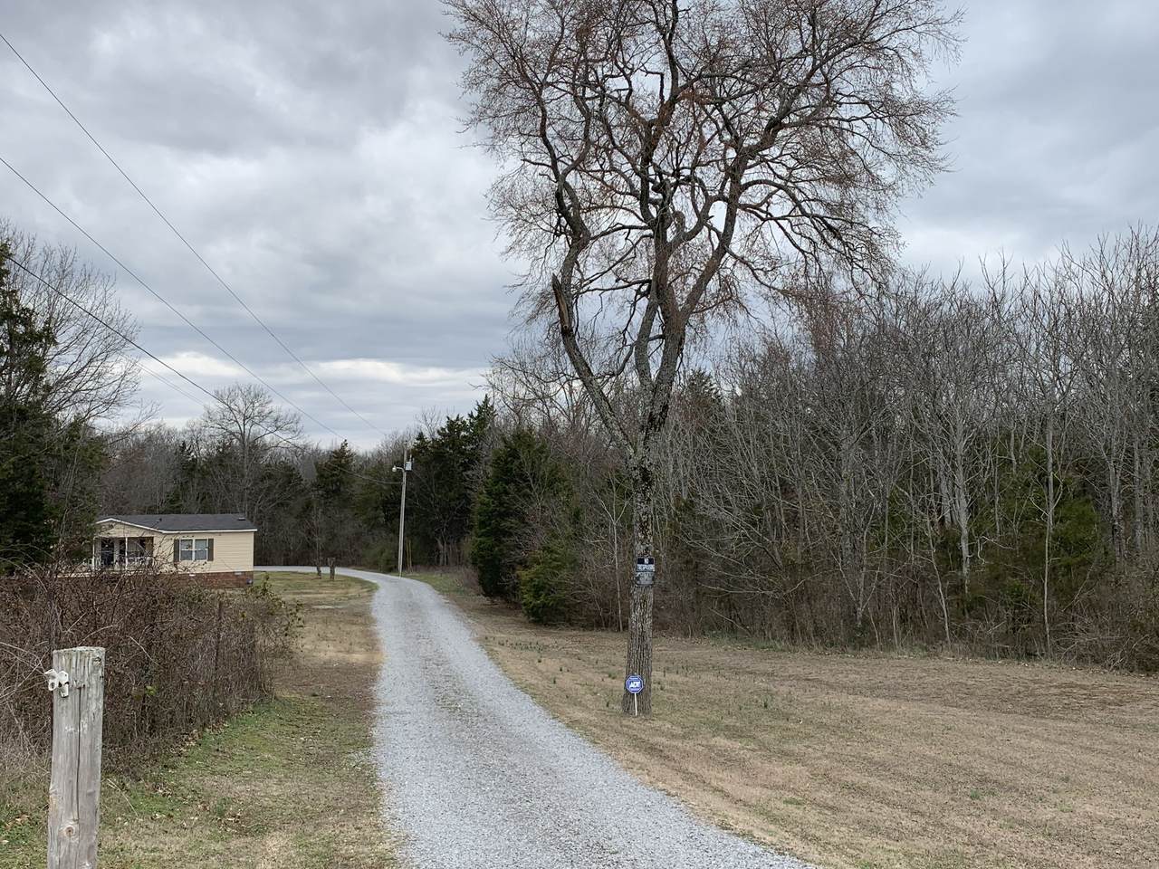 2927 Halls Hill Pike - Photo 1