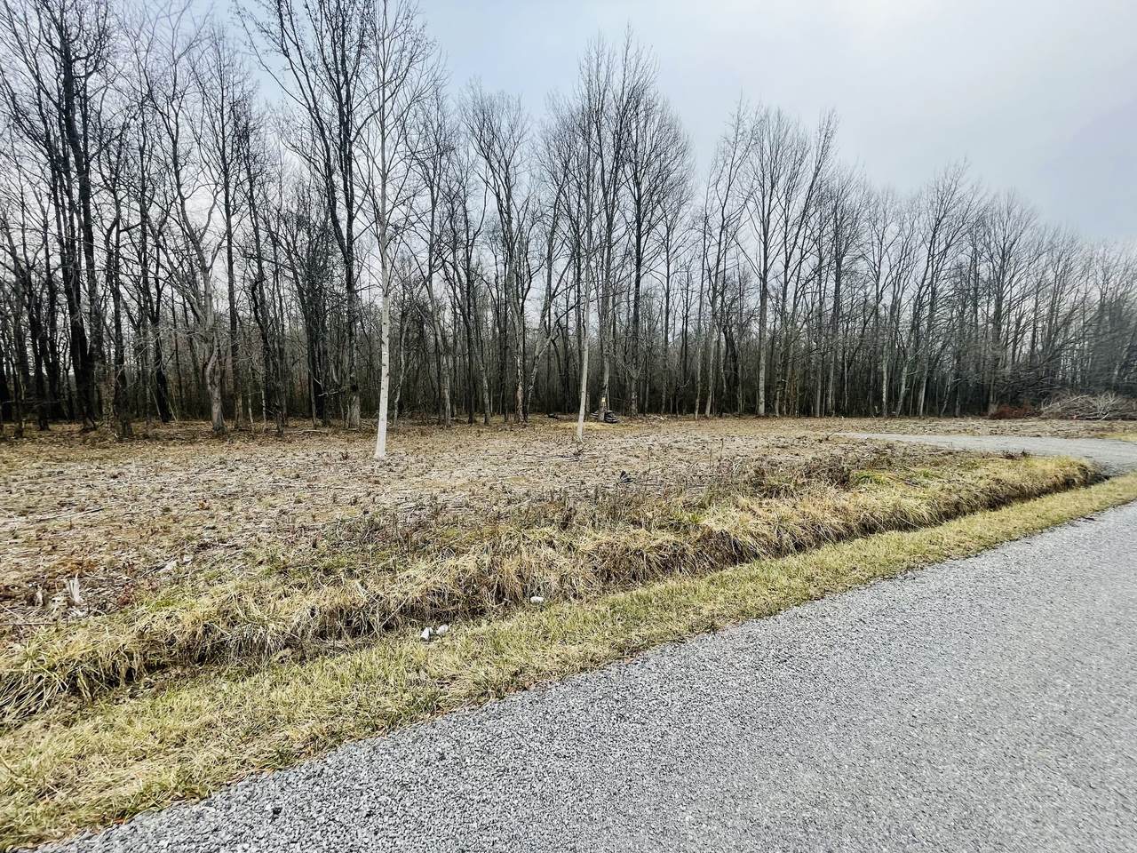 0 Miller Ln - Photo 1