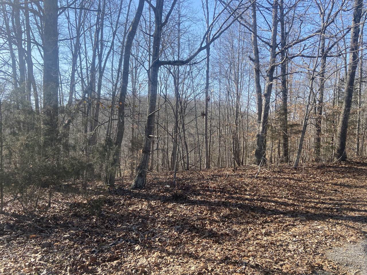 0 Ella Drive - Photo 1