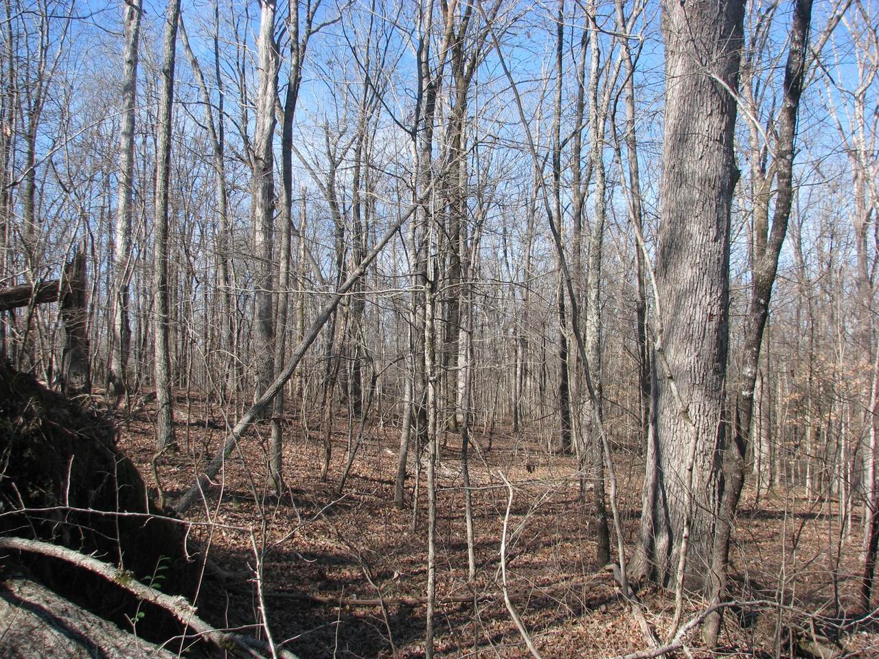 0 Westwood Dr - Photo 1