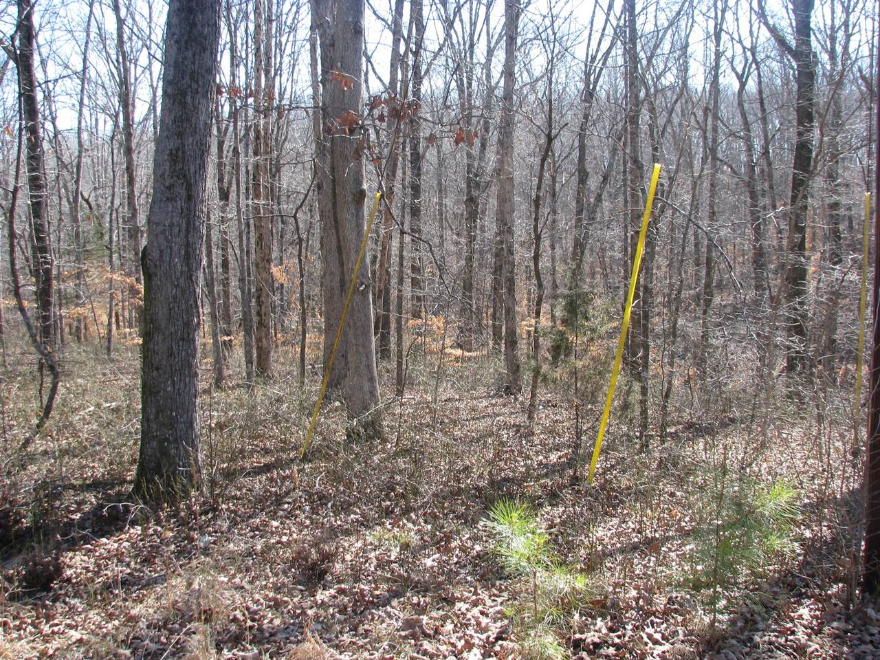 0 Westwood Dr - Photo 1