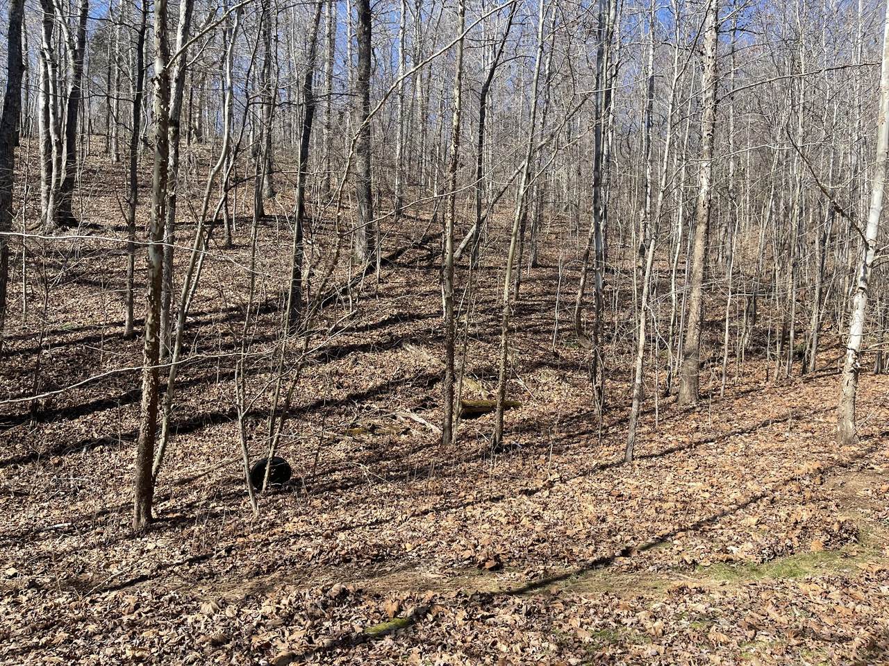 1230 Dry Creek Rd - Photo 1