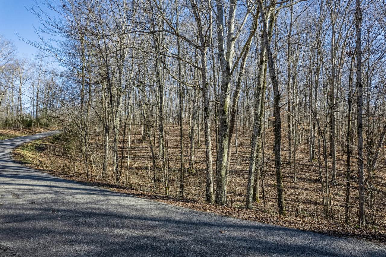 0 Indian Mound Rd - Photo 1
