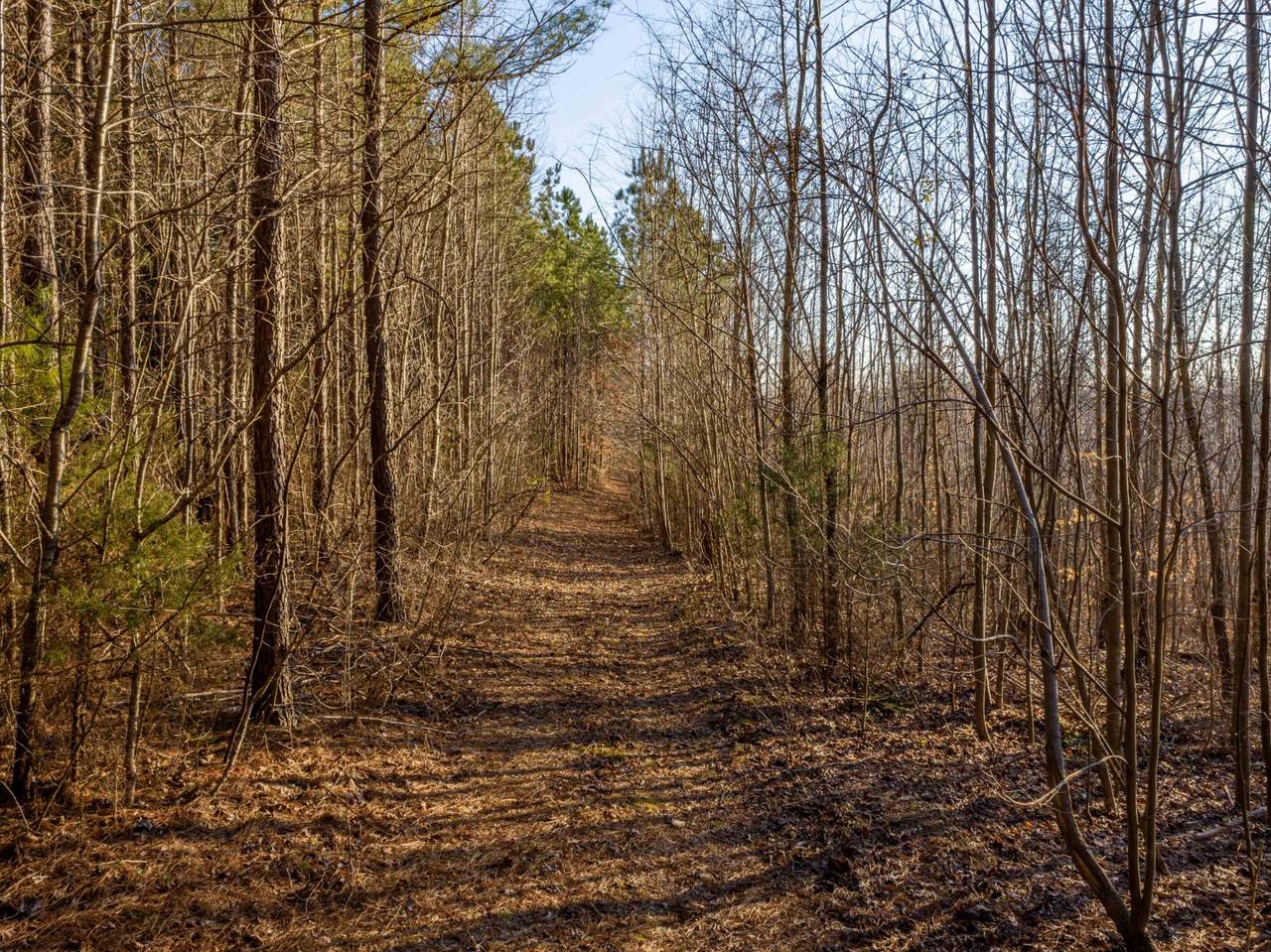0 Chestnut Grove Cemetery Rd - Photo 1