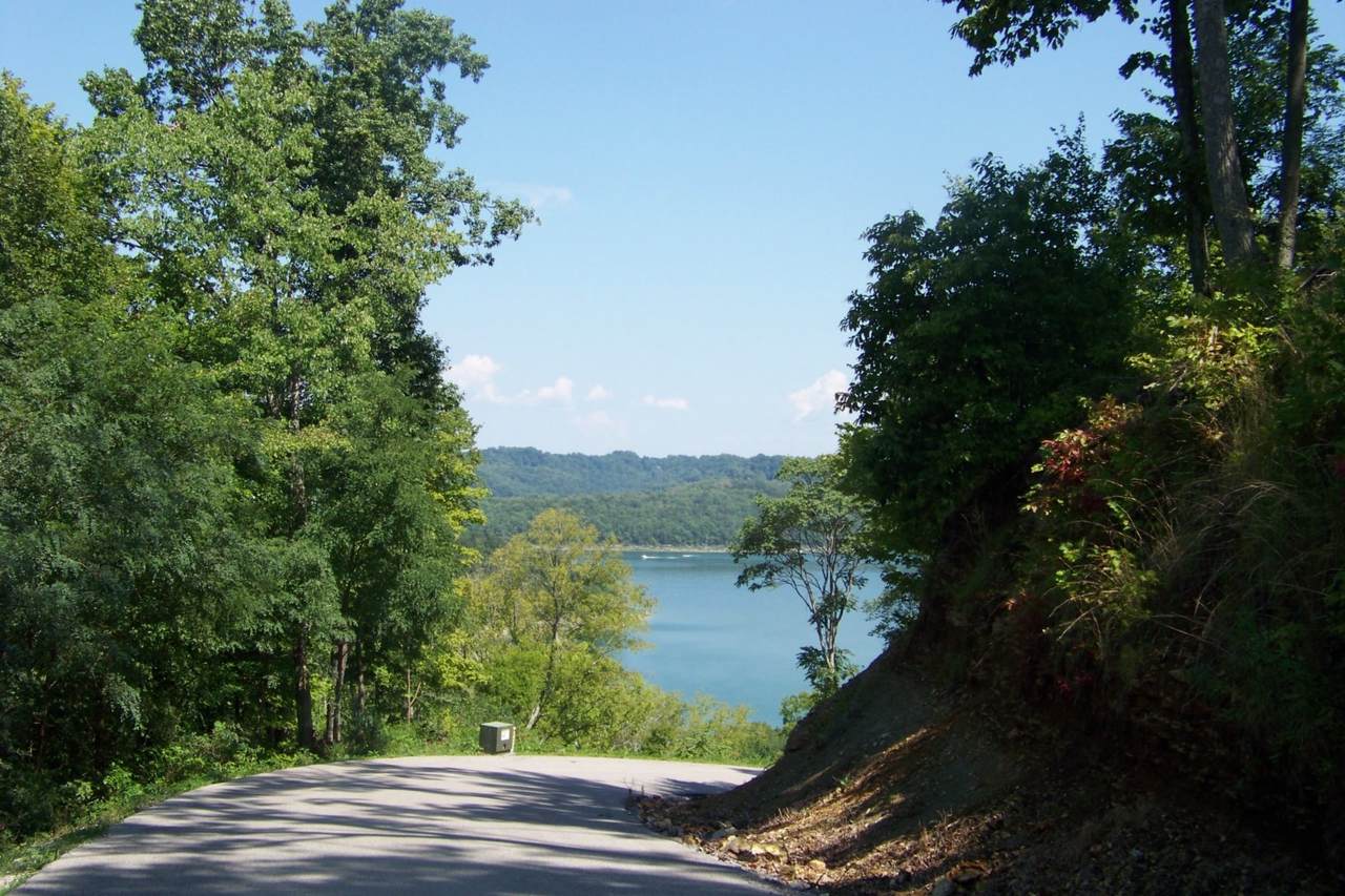 0 Williamson Cir - Photo 1