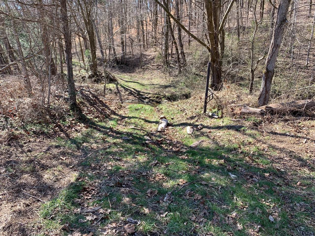 2120 Mt Olive Cemetery Rd - Photo 1