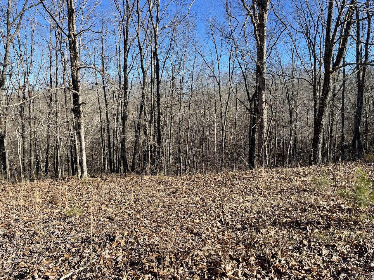 0 Deepwood Dr - Photo 1