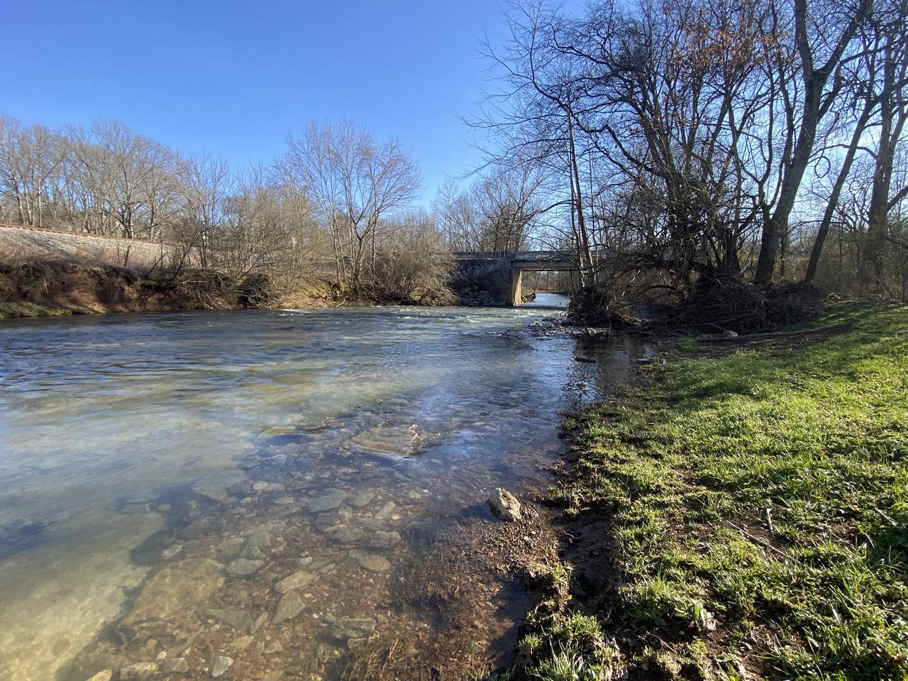 0 Carters Creek Pike - Photo 1