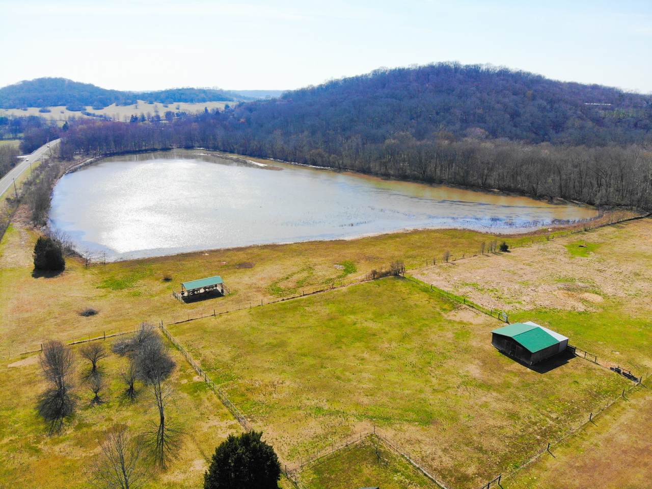 3009 Carters Creek Pike - Photo 1