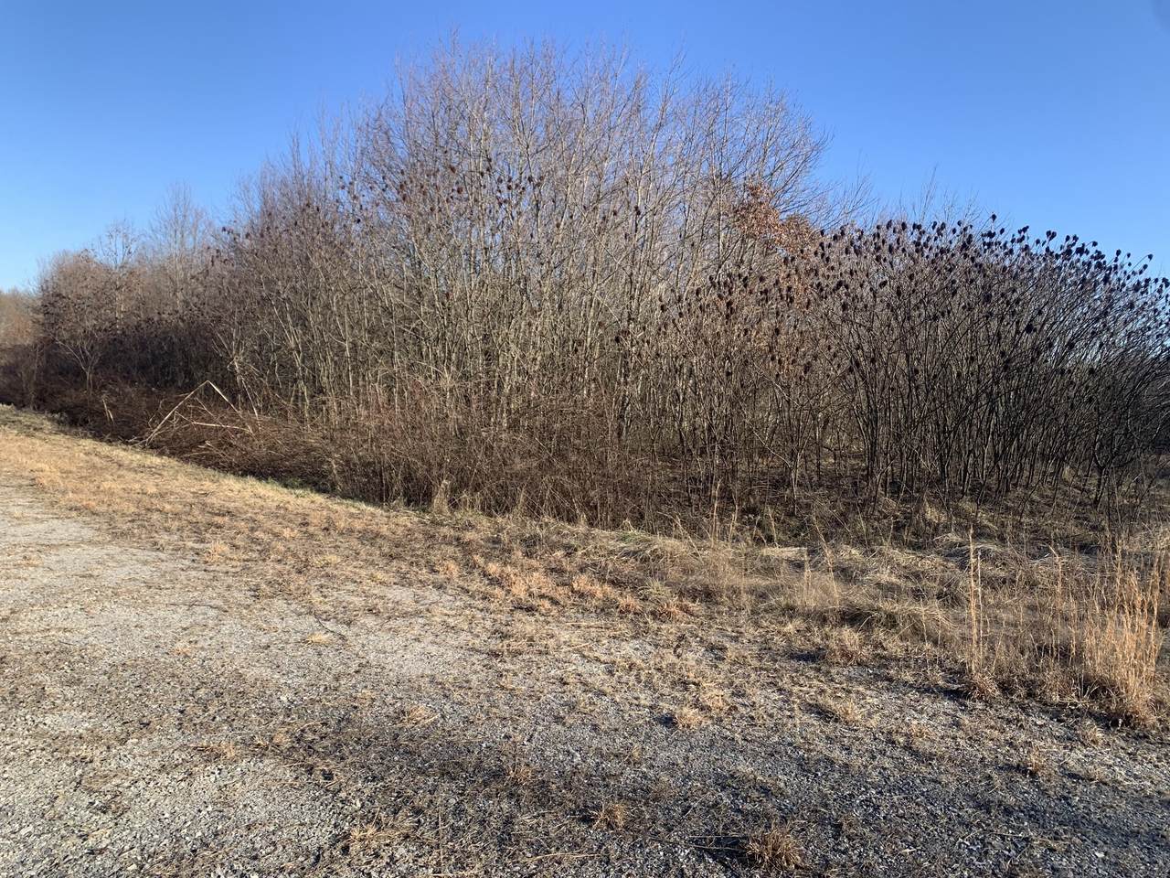 0 Williams Dr. - Photo 1