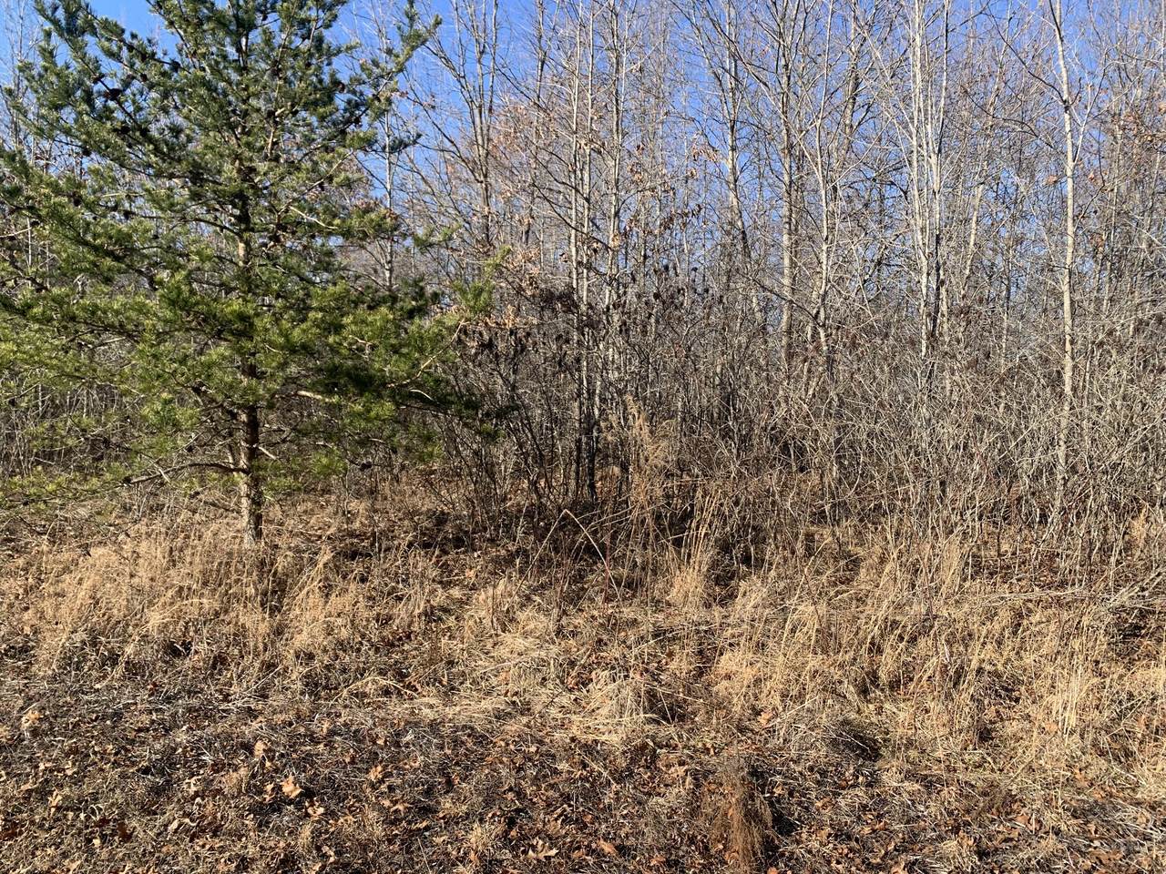 0 Williams Dr. - Photo 1