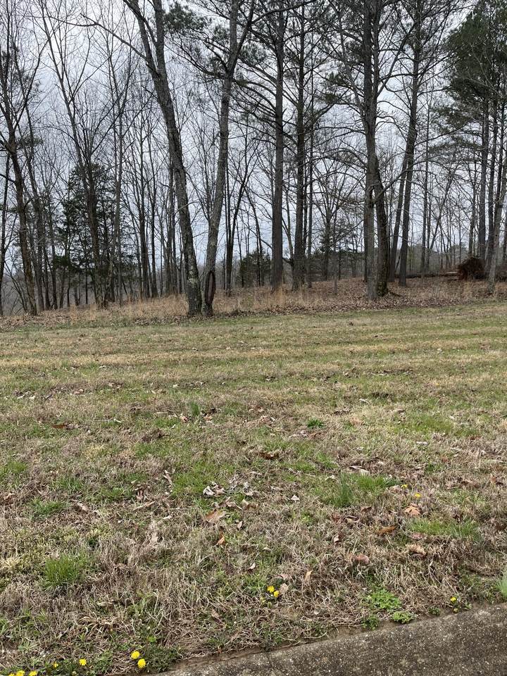 0 Cove Ln - Photo 1