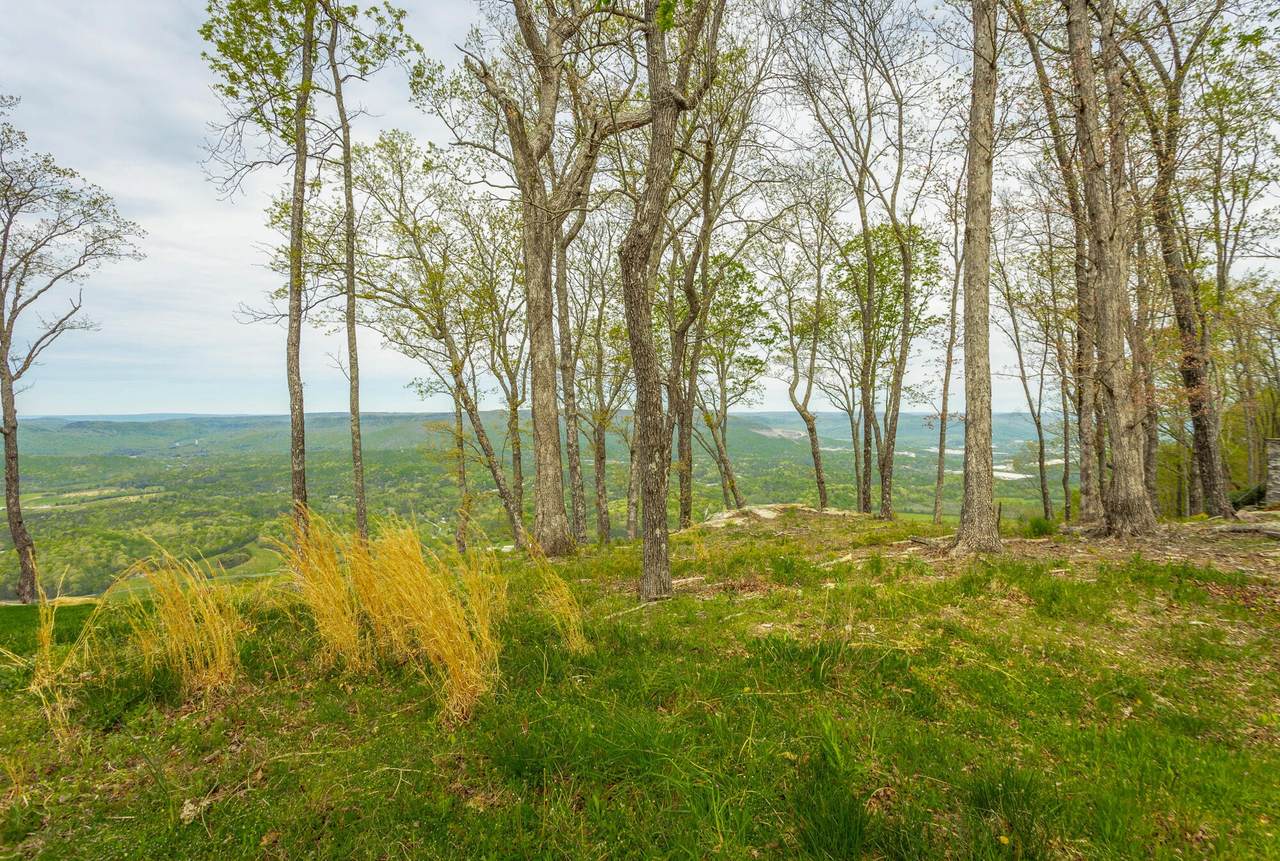 23 Brow Wood Ln - Photo 1