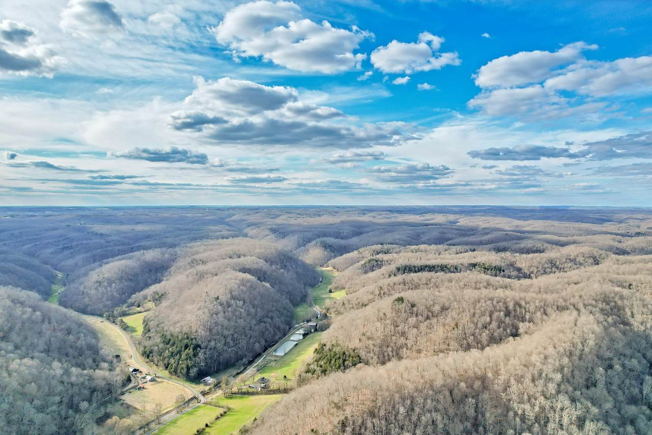 1528 Knob Creek Rd - Photo 1