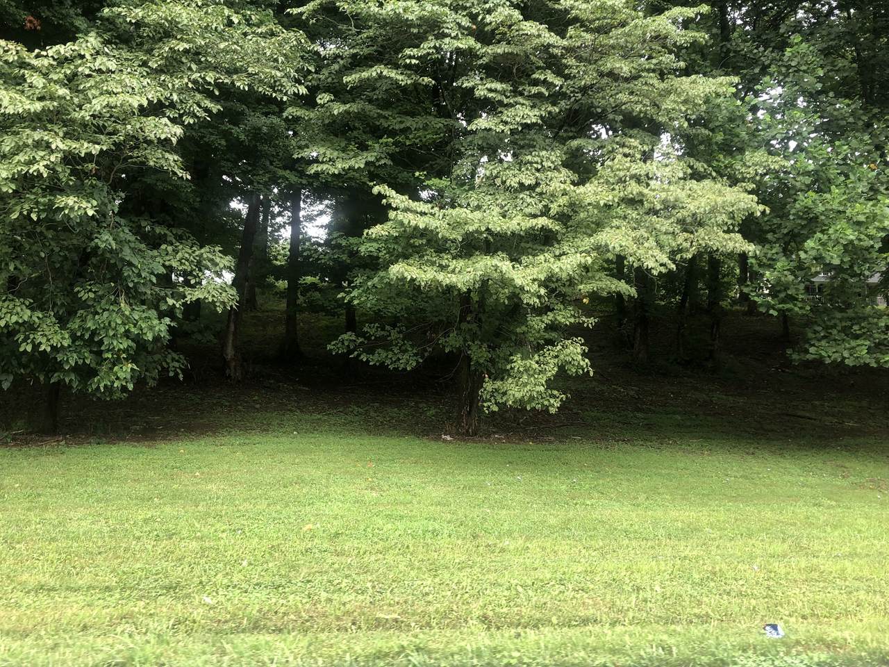 69 Old Hartsville Pike - Photo 1