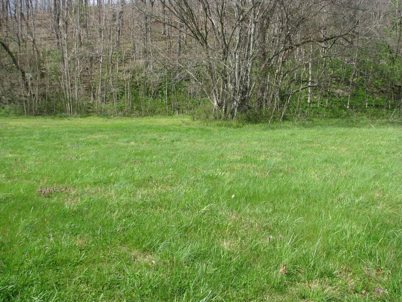 0 Cumberland Valley Rd - Photo 1