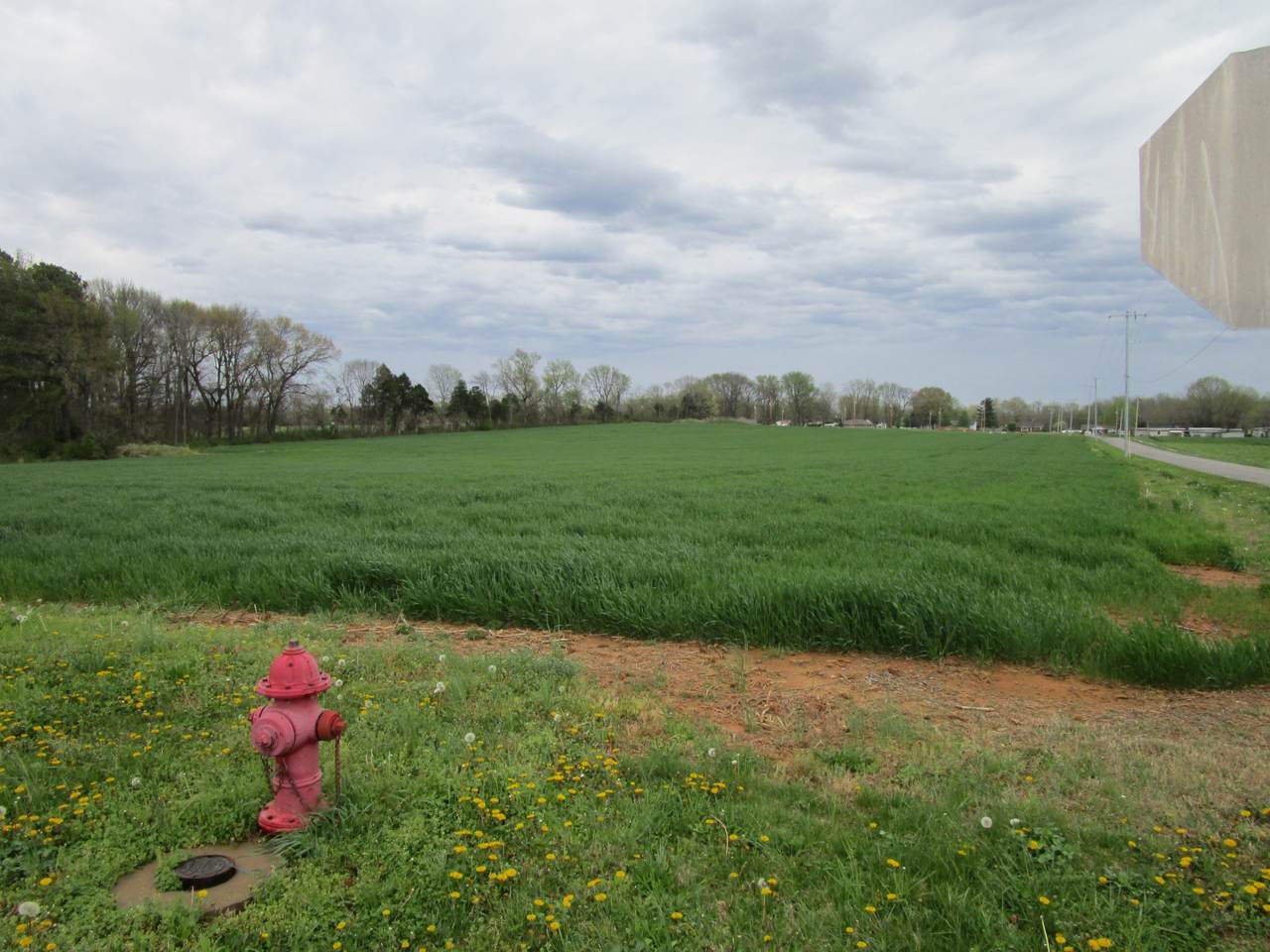 0 Searcy Ln - Photo 1