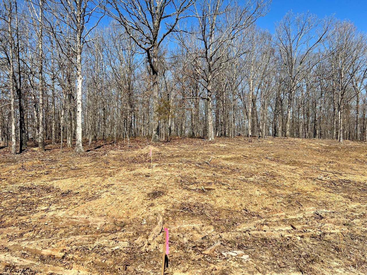 0 7 Mile Ridge Rd - Photo 1