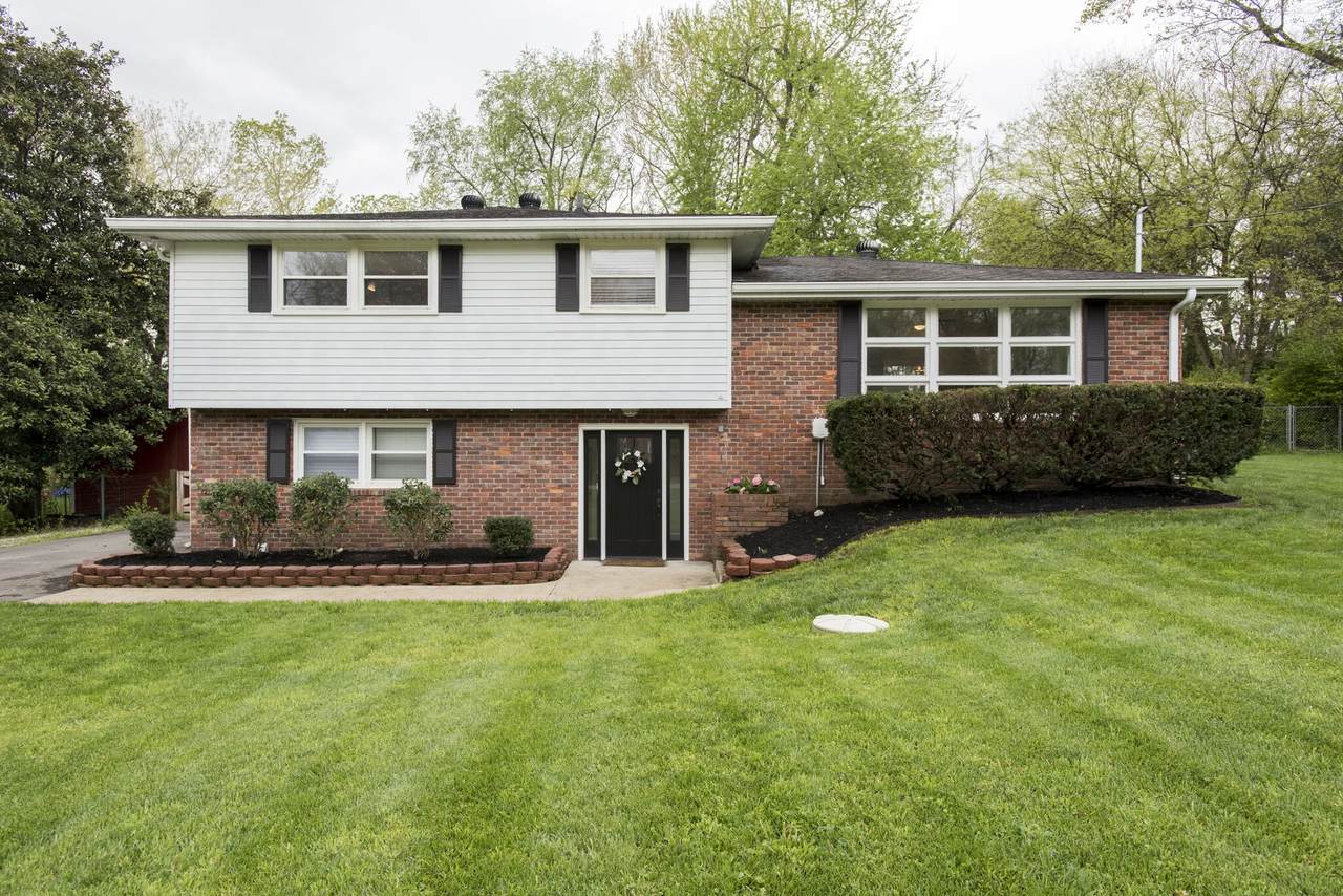 313 Colt Ln - Photo 1