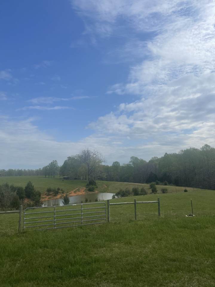 6404 Hwy 52 West - Photo 1
