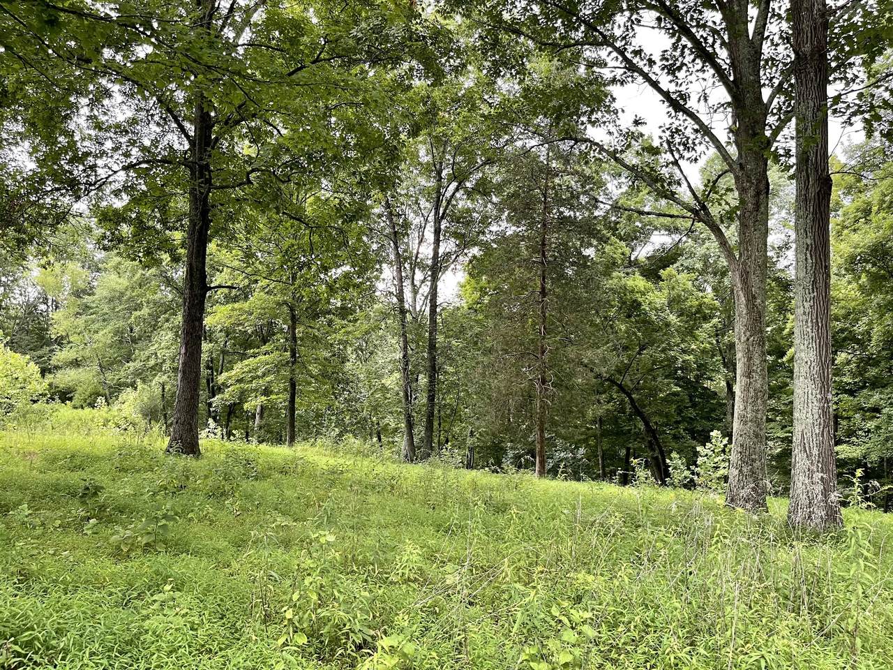 0 Duffer Hollow Rd - Photo 1