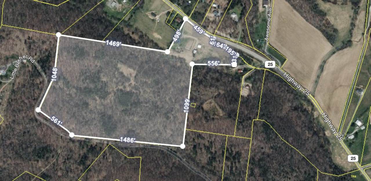 2731 Highway 25 - Photo 1