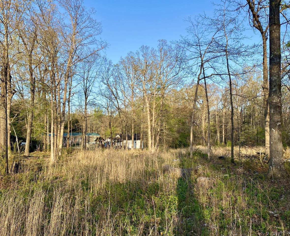 204 Cherokee Ln - Photo 1