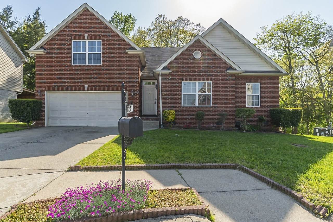 1241 Canyon Ridge Ct - Photo 1