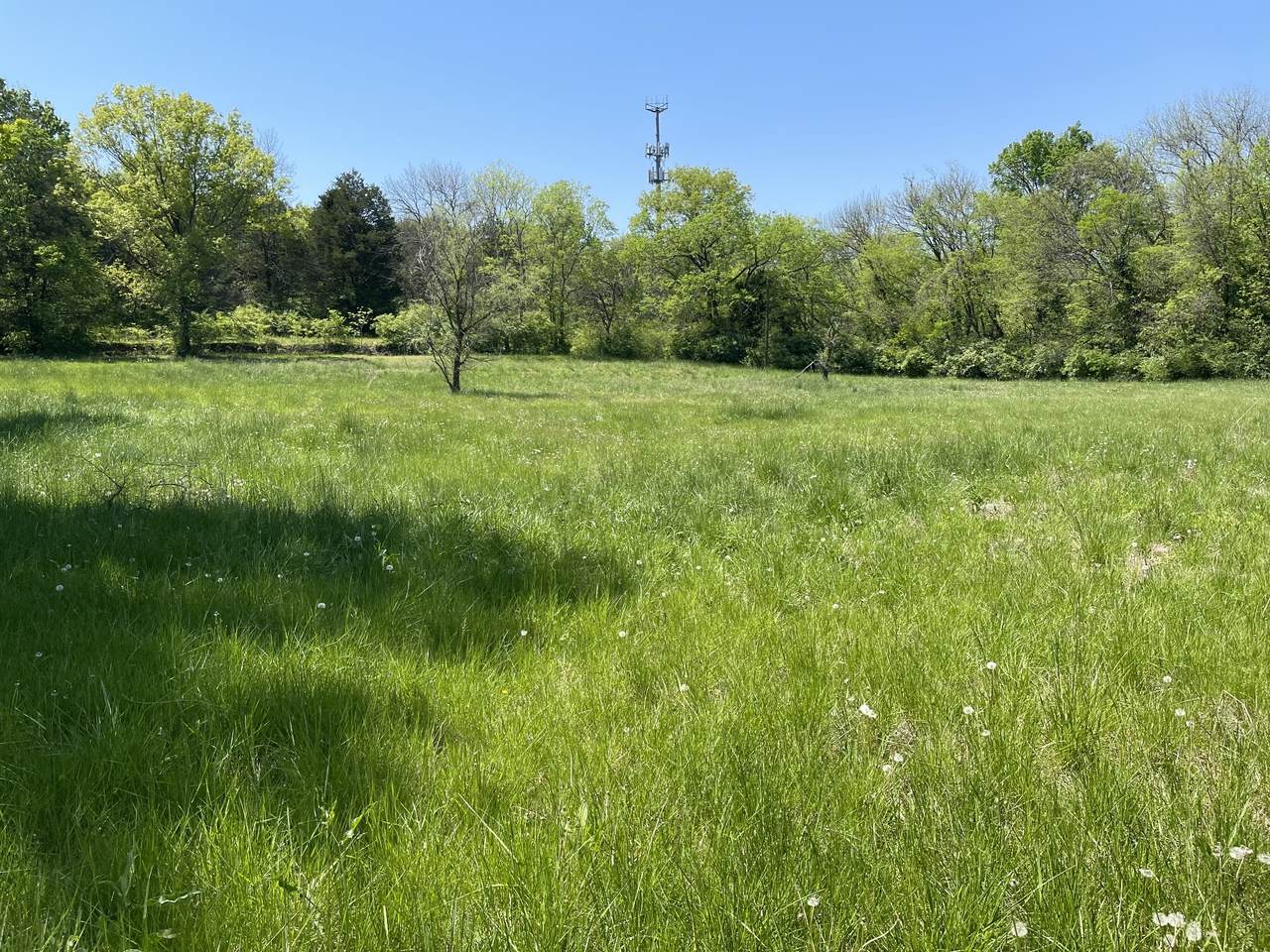 2610 Whites Creek Pike - Photo 1