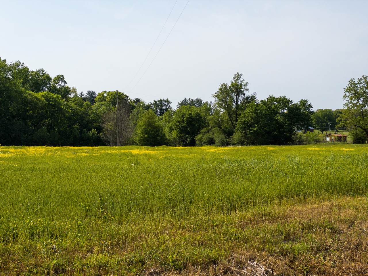 0 Ivy Bluff Trail - Photo 1