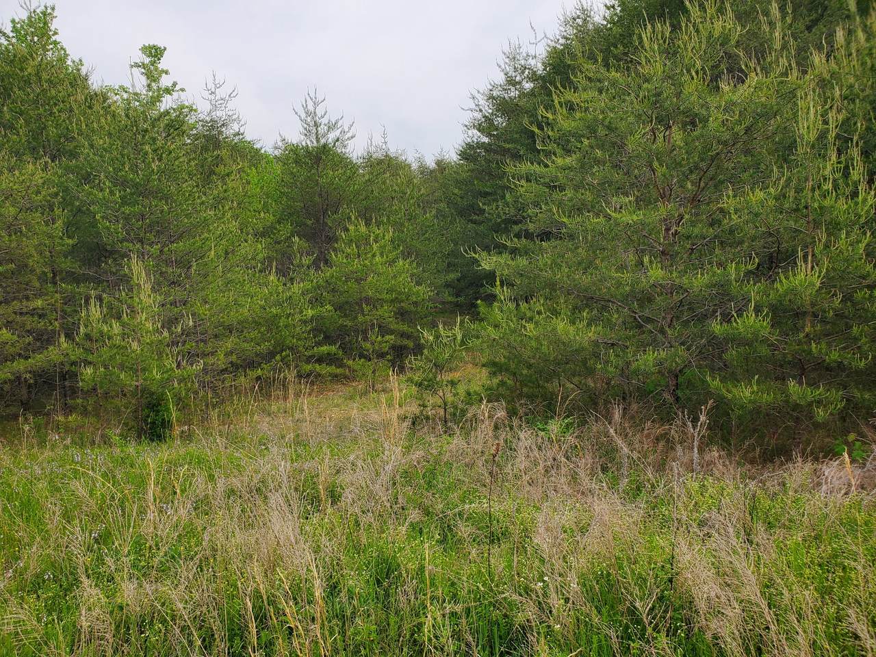 0 Highwater Rd - Photo 1
