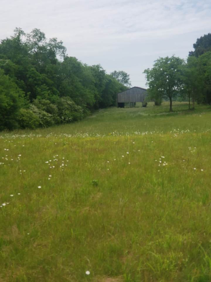 0 Butler Rd - Photo 1