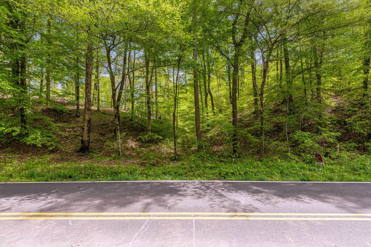 0 Sam Hollow Rd (Tracks 6A-B) - Photo 1