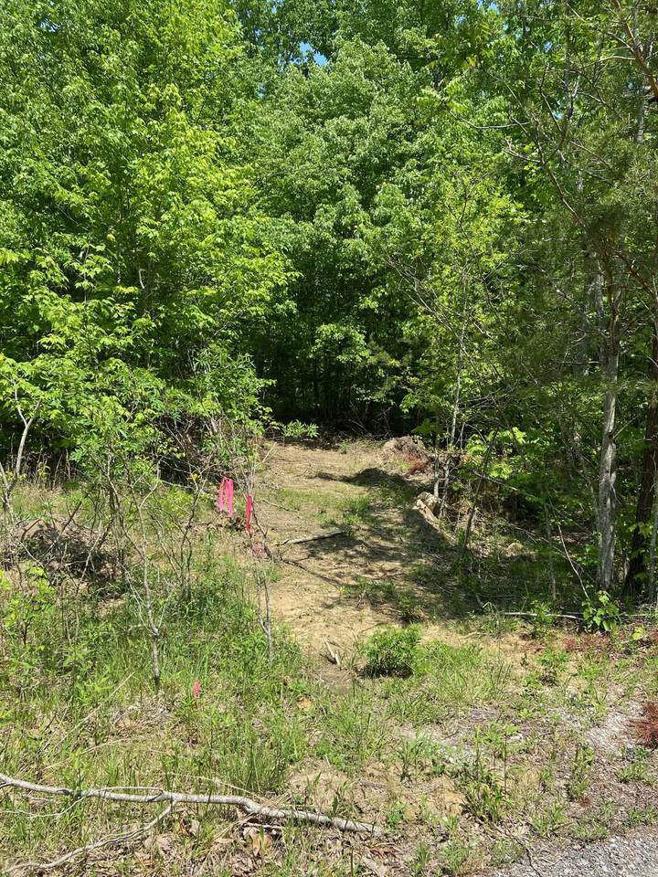 0 Branch Creek Rd - Photo 1
