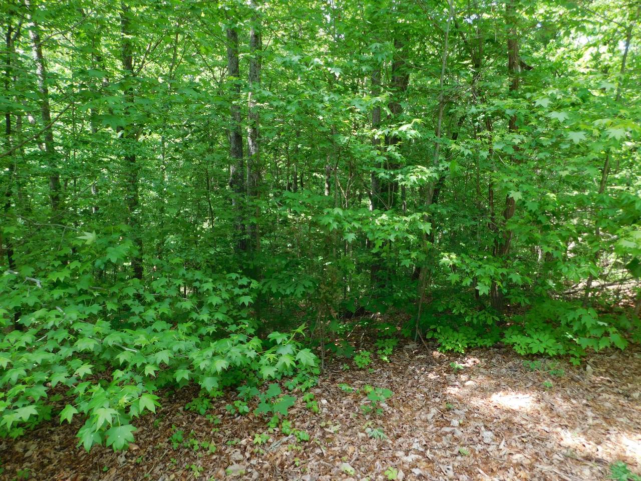 0 Woodcrest Dr. - Photo 1