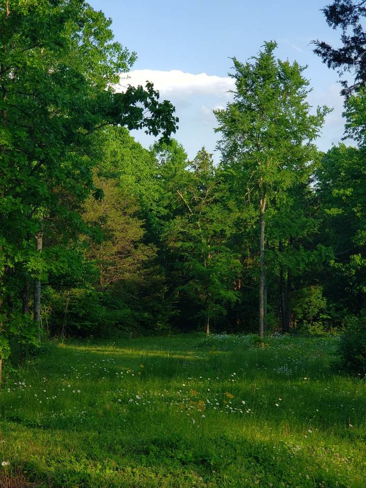 3658 Mahaley Rd - Photo 1