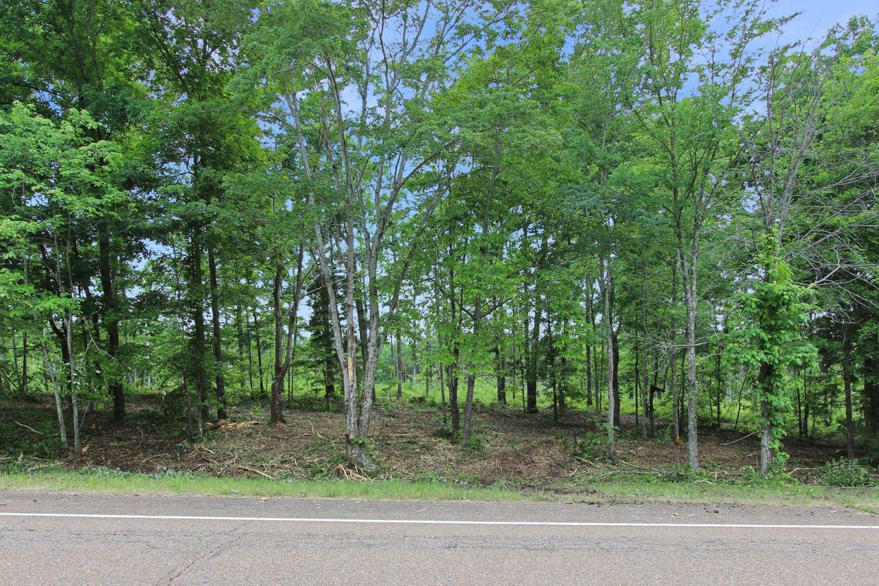 8 Highway 232 - Photo 1