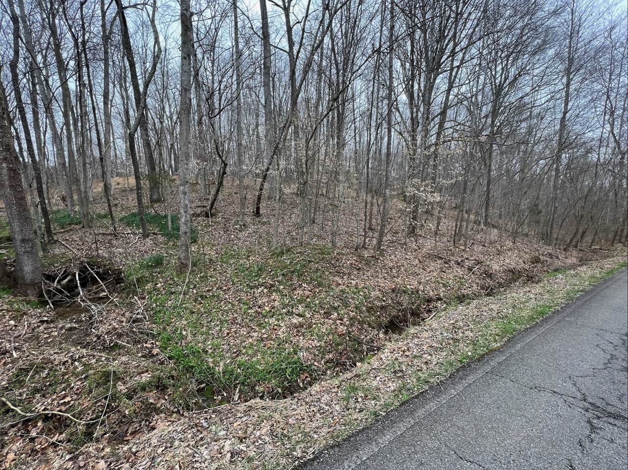 0 Coaling Rd - Photo 1