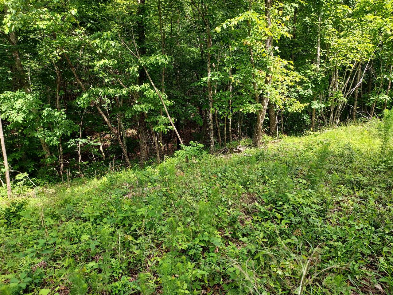 385 Winding Stairs Dr - Photo 1