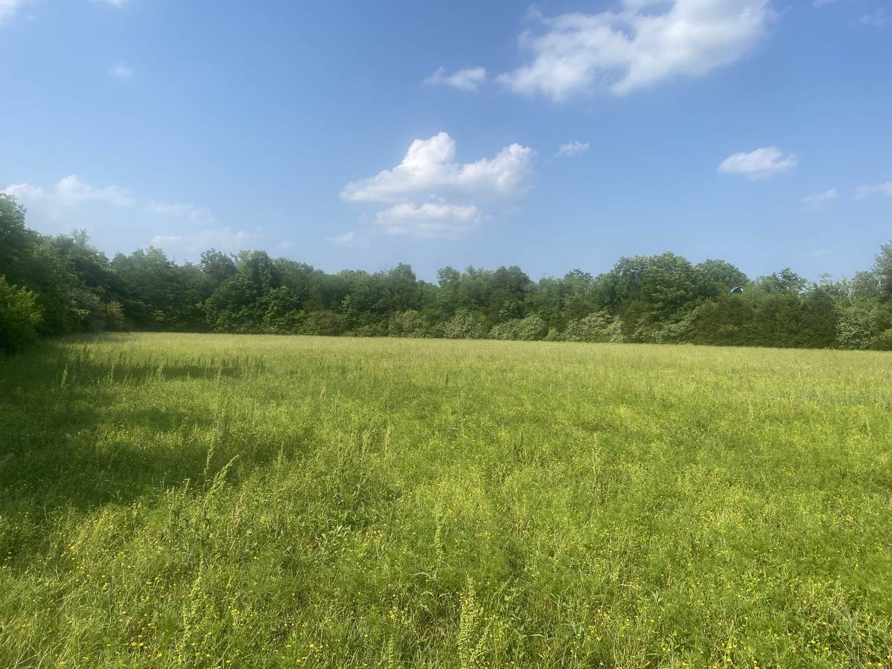 0 Zion Hill Rd. - Photo 1